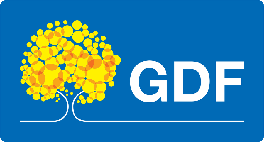 GDF, Governo do Distrito Federal